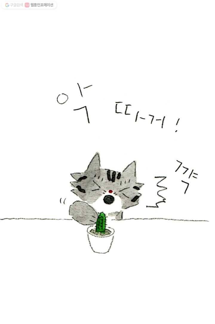 은동은동+옹동스 42화. 은동이와 선인장 7