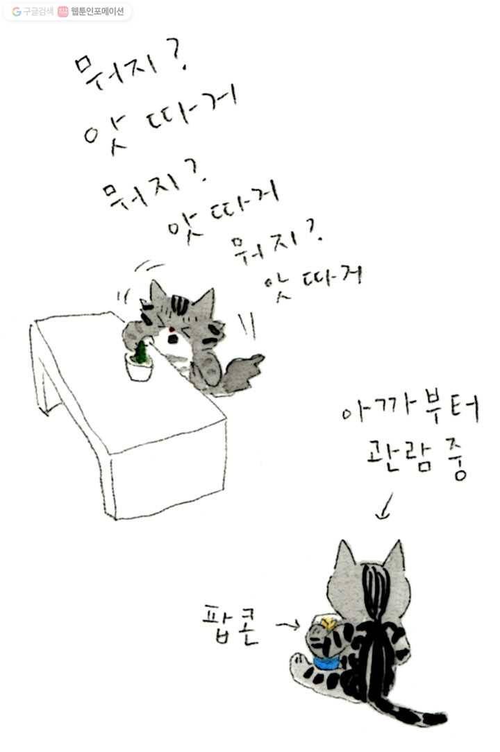 은동은동+옹동스 42화. 은동이와 선인장 8