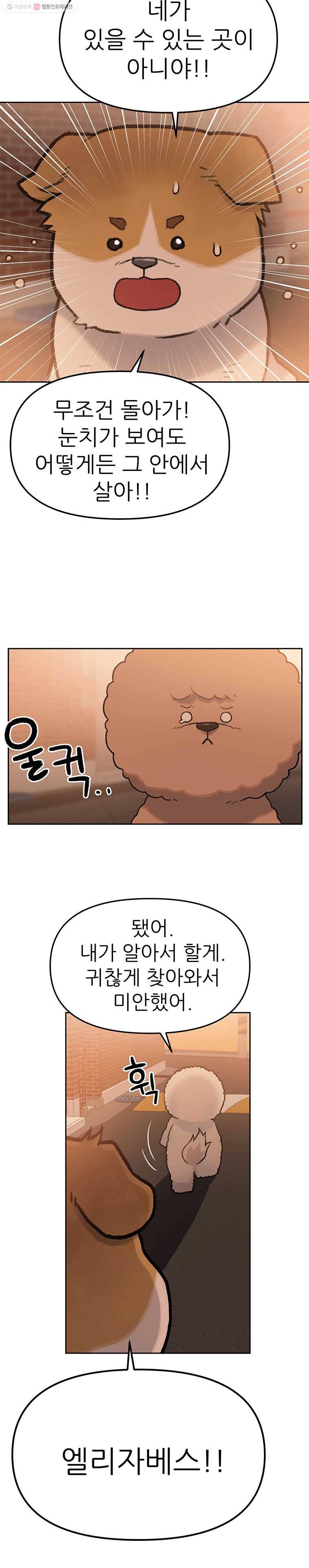 무지개다리 파수꾼 25화 6