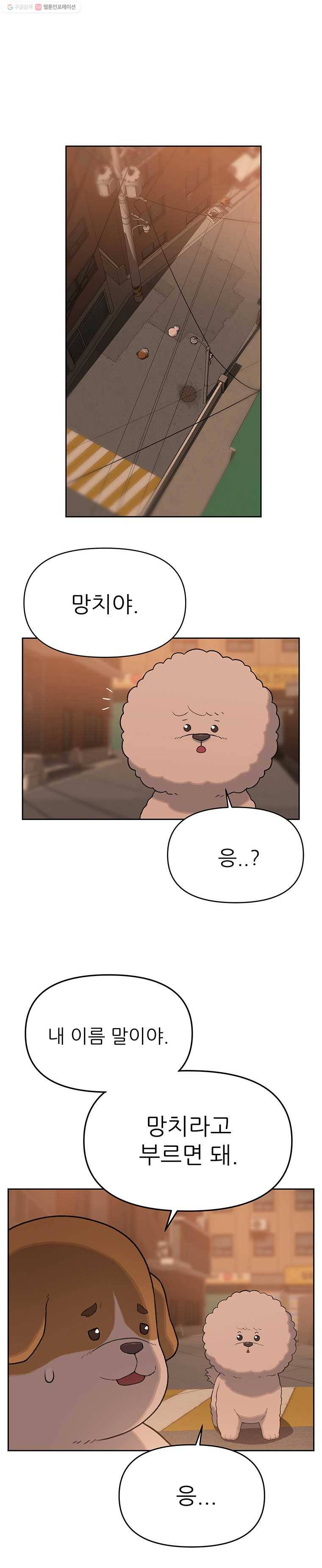무지개다리 파수꾼 25화 12