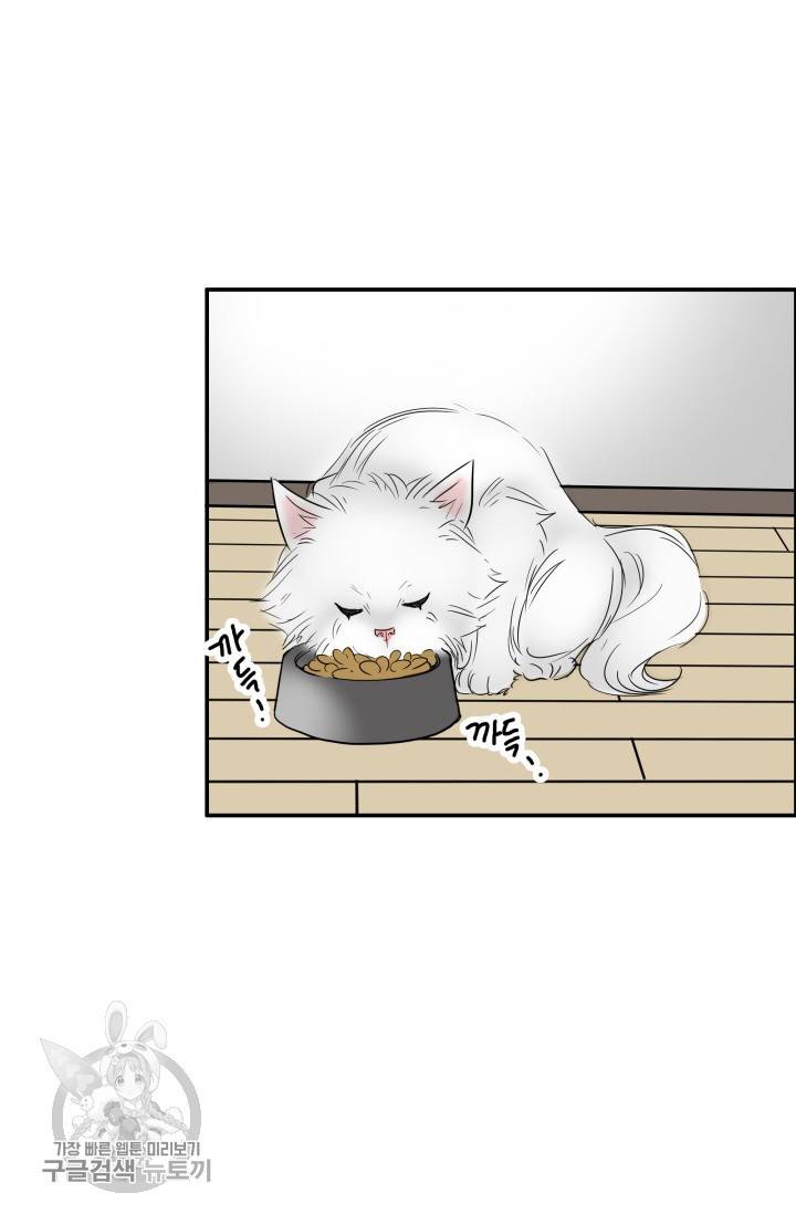 연하어택 38화 13
