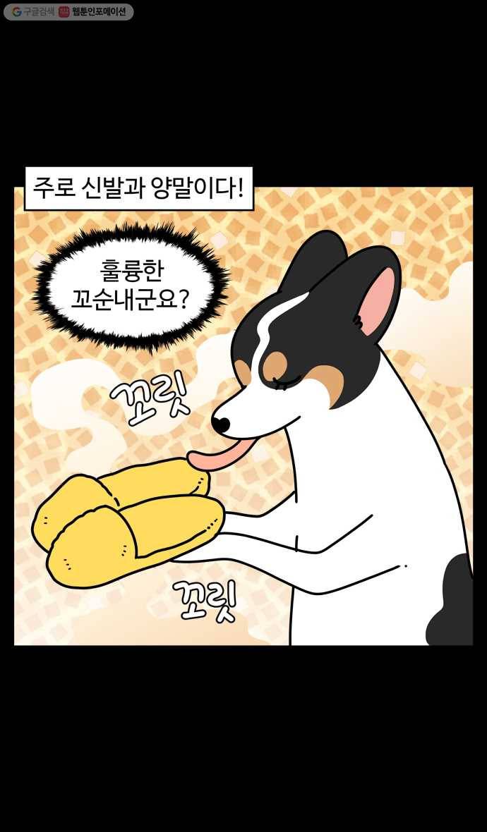 노곤하개 시즌4 33화 멍냥이와 청소 (2) 3