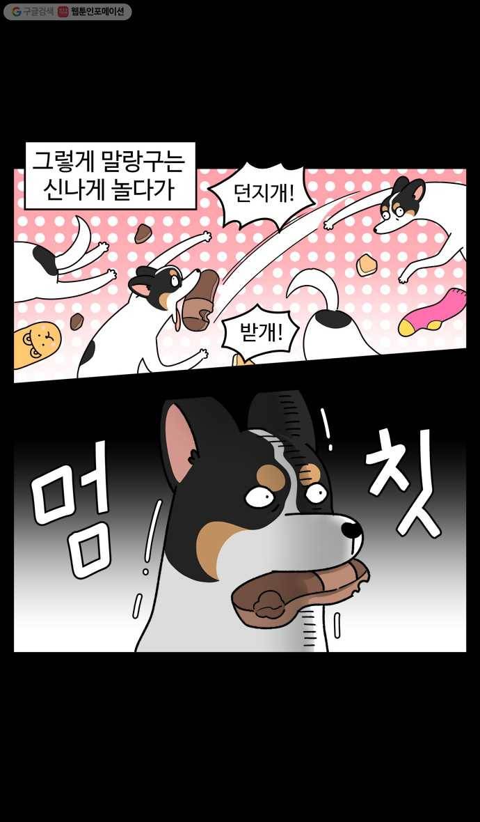 노곤하개 시즌4 33화 멍냥이와 청소 (2) 5