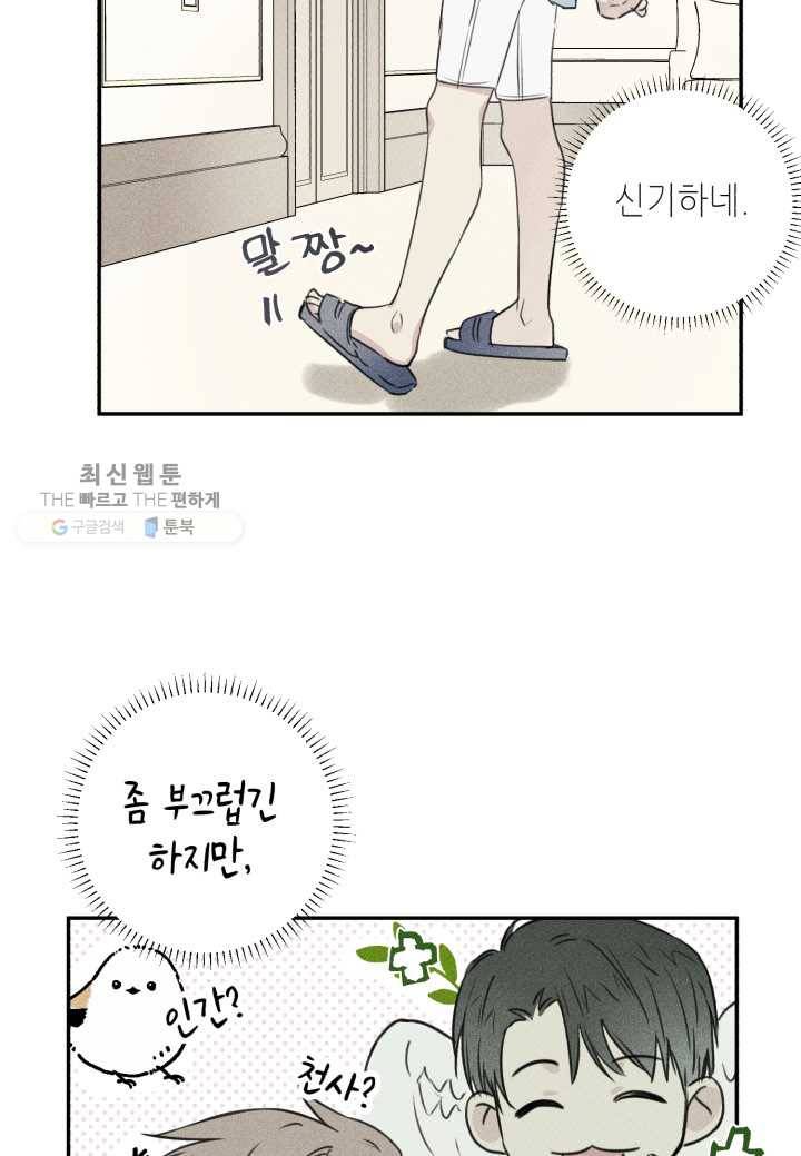 엔젤 버디 19화 9