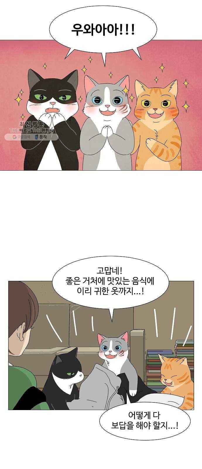 야생천사 보호구역 6화 정은호 없는 정은호네 홈파티 (1) 11