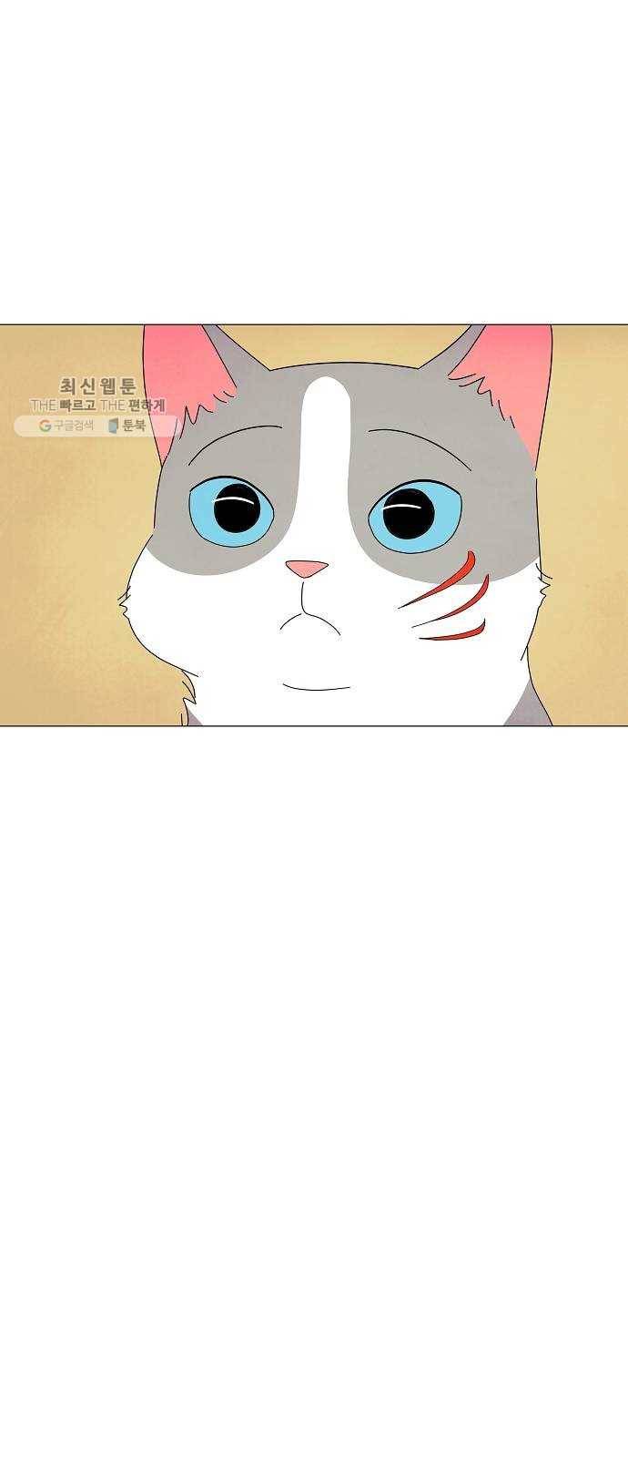 야생천사 보호구역 6화 정은호 없는 정은호네 홈파티 (1) 15