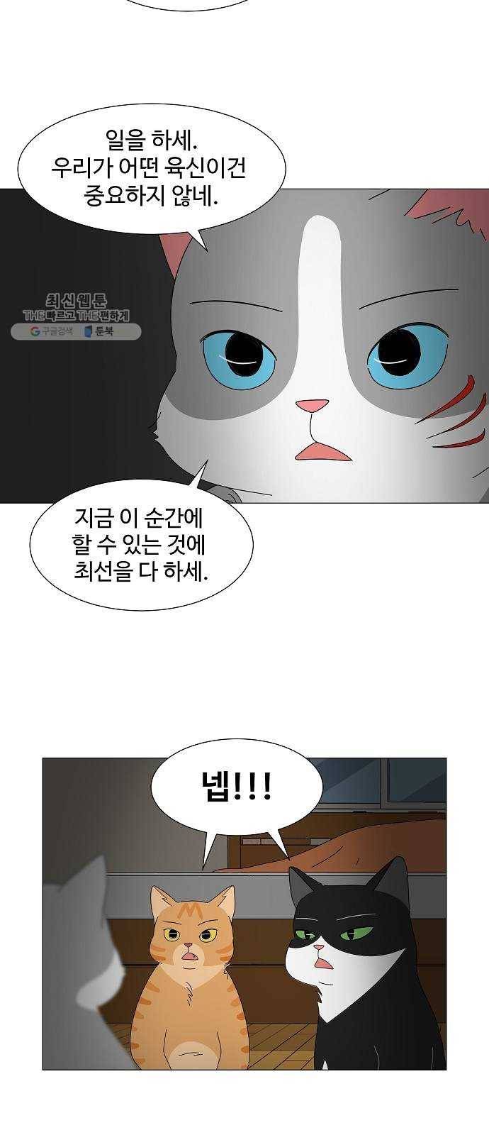 야생천사 보호구역 6화 정은호 없는 정은호네 홈파티 (1) 24