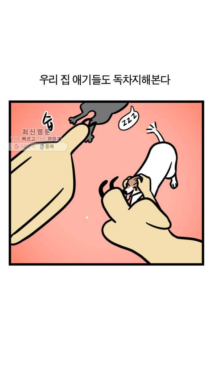 모죠의 일지 201화. 나 홀로 집에 12