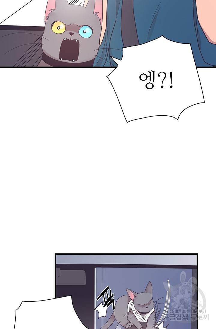 영혼의 요리사 24화 51
