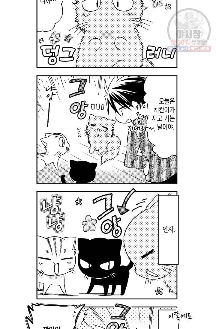 아시야 씨네 고양이 36화 7
