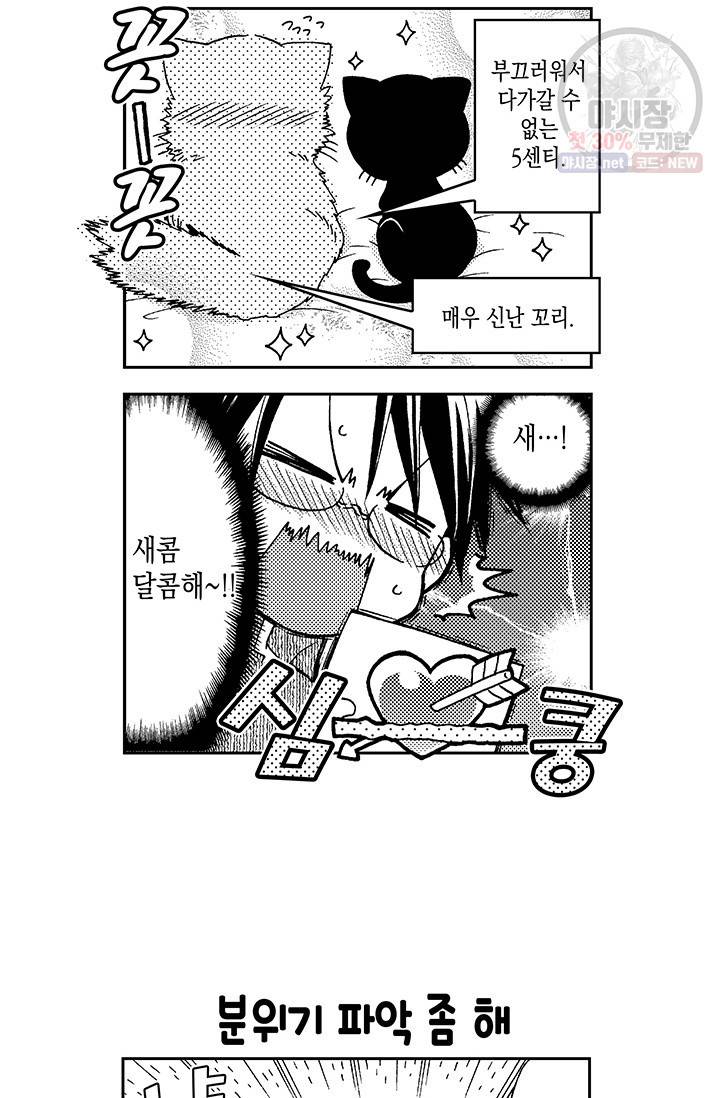 아시야 씨네 고양이 36화 11