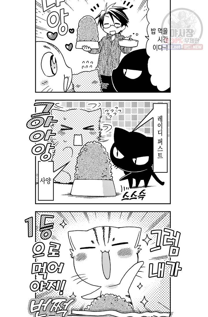 아시야 씨네 고양이 36화 12