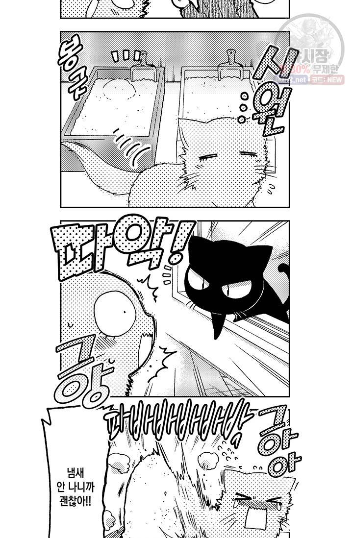 아시야 씨네 고양이 36화 14