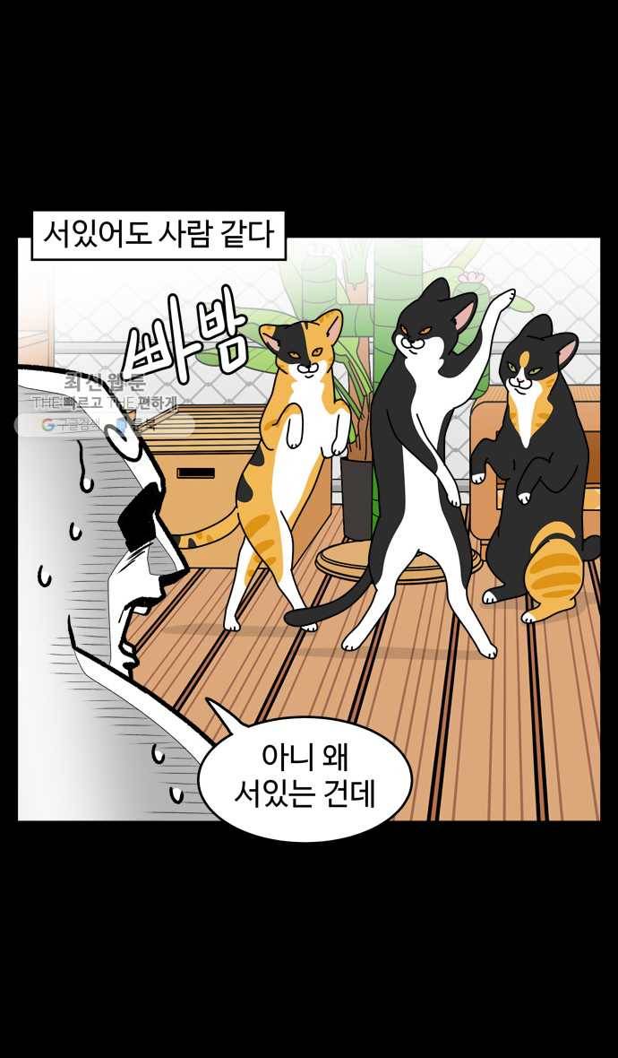 노곤하개 시즌4 39화 사람 같을 때 (2) 3