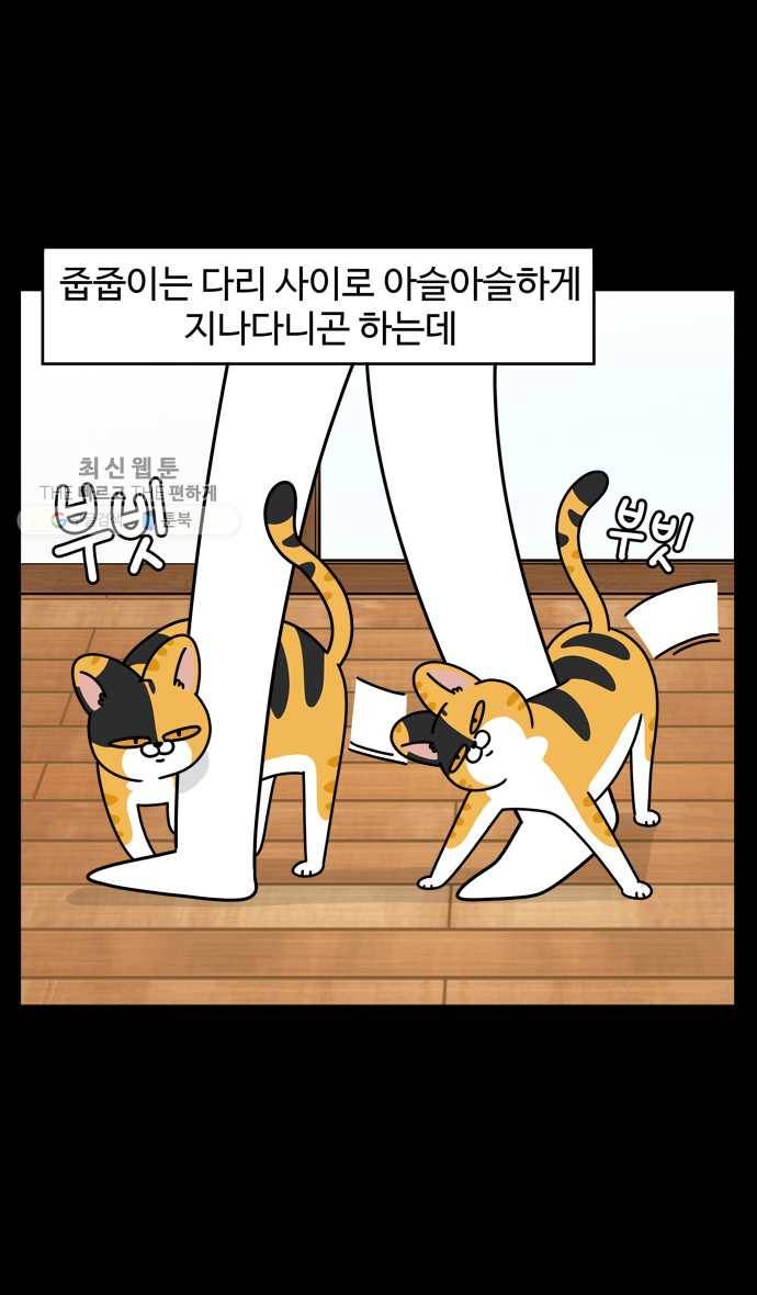 노곤하개 시즌4 39화 사람 같을 때 (2) 4