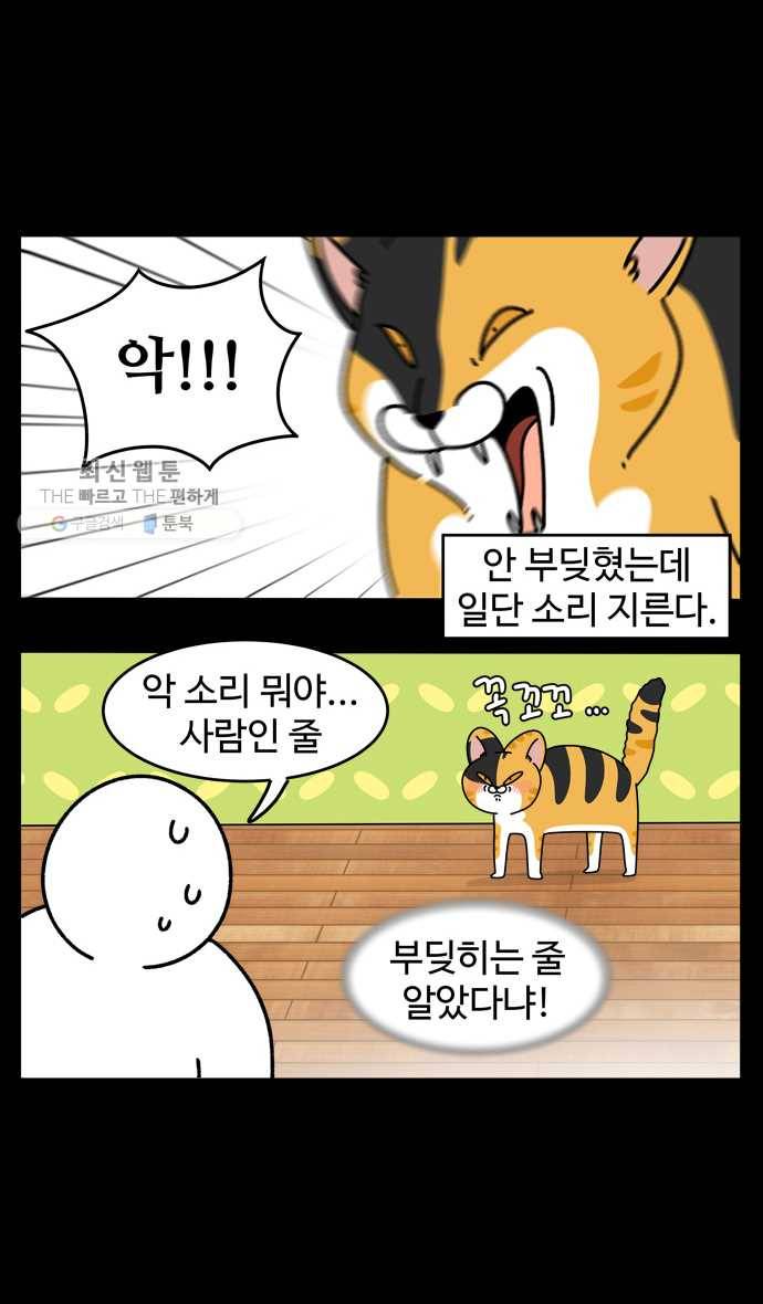 노곤하개 시즌4 39화 사람 같을 때 (2) 5