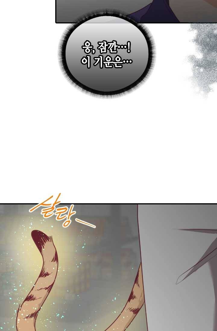 박씨가 없어서요 29화 14