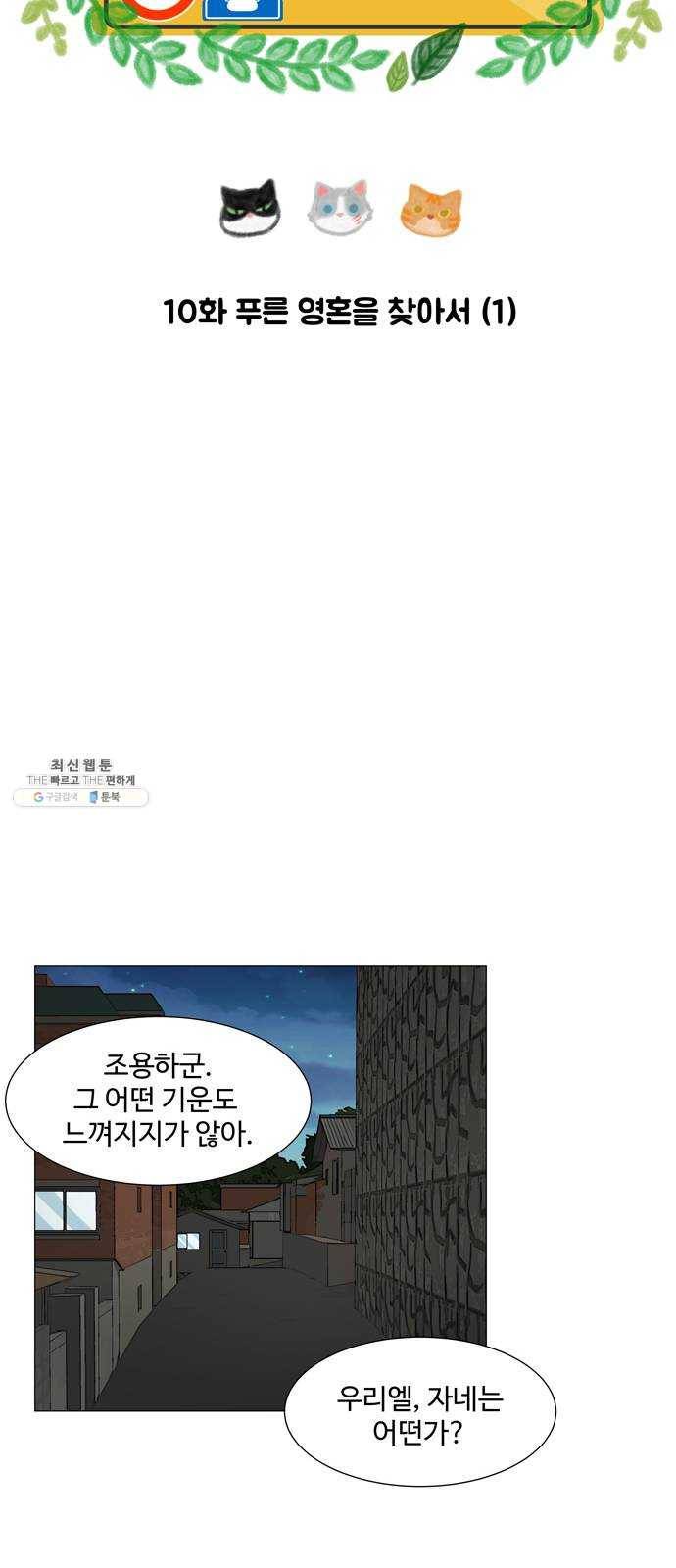 야생천사 보호구역 10화 푸른 영혼을 찾아서 (1) 6