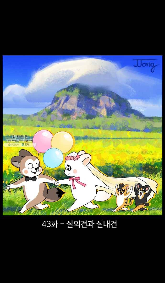 노곤하개 시즌4 43화 실외견과 실내견 1
