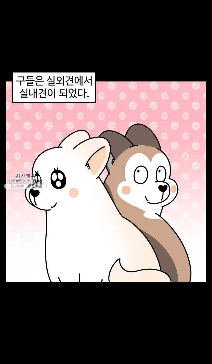 노곤하개 시즌4 43화 실외견과 실내견 2