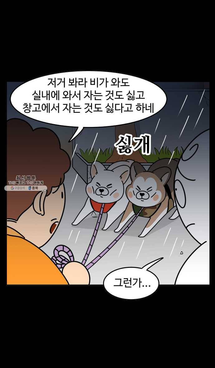 노곤하개 시즌4 43화 실외견과 실내견 4