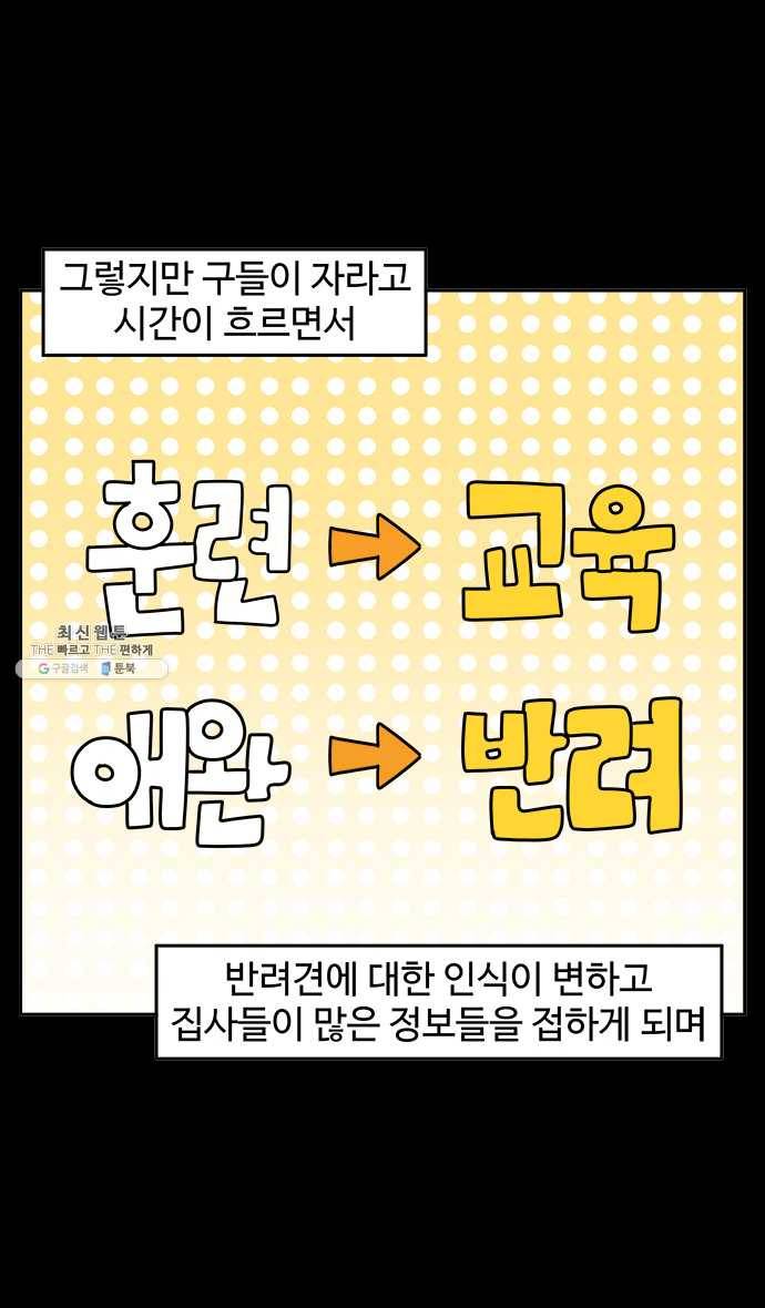 노곤하개 시즌4 43화 실외견과 실내견 5