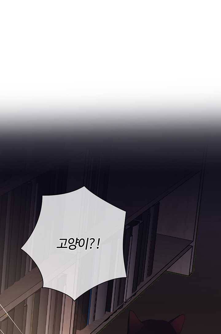 공주전쟁 18화 66