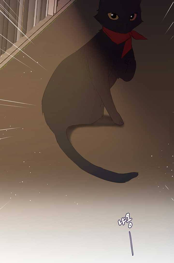 공주전쟁 18화 67