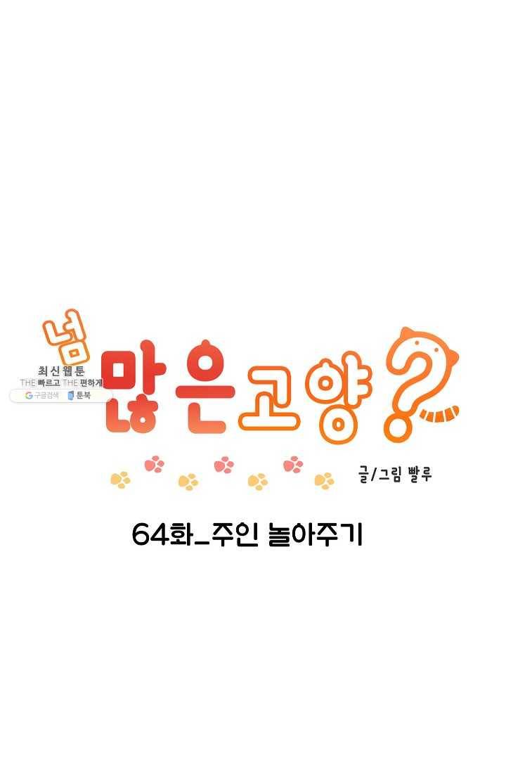넘 많은 고양! 065화 6