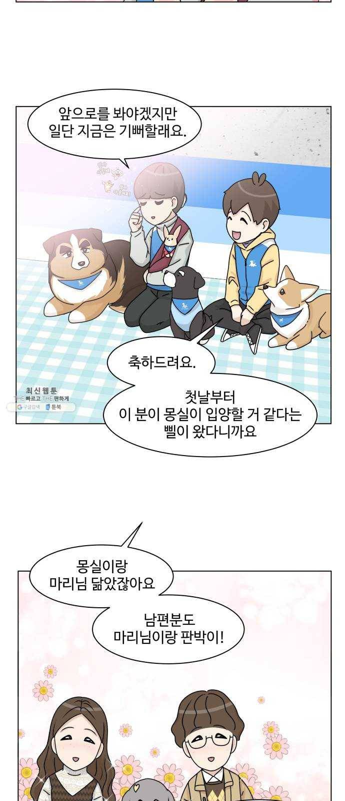 개를 낳았다 시즌2 53화 2