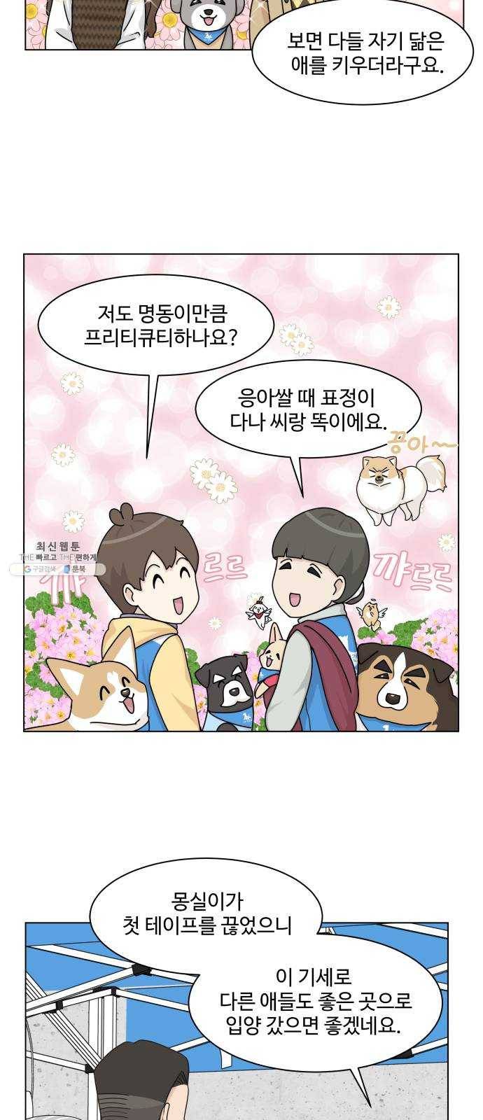 개를 낳았다 시즌2 53화 3