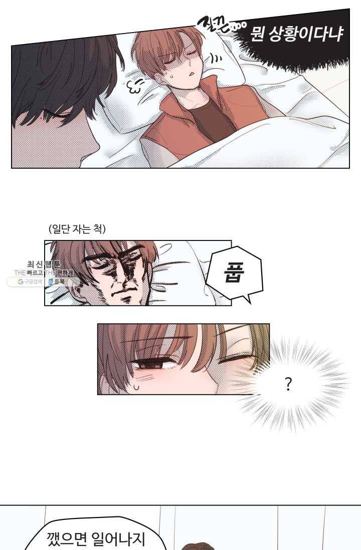비타민C 비타민D 4화 5