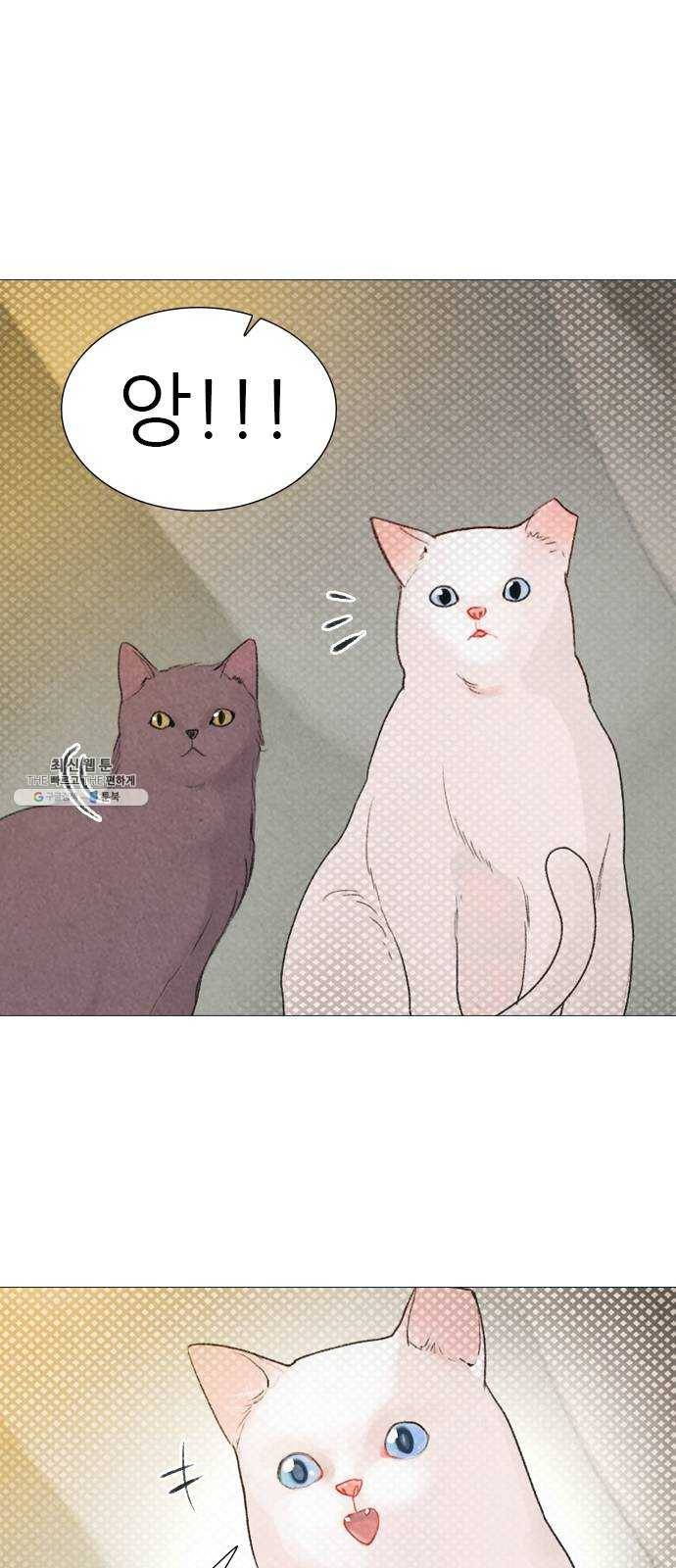 신비 56화 1