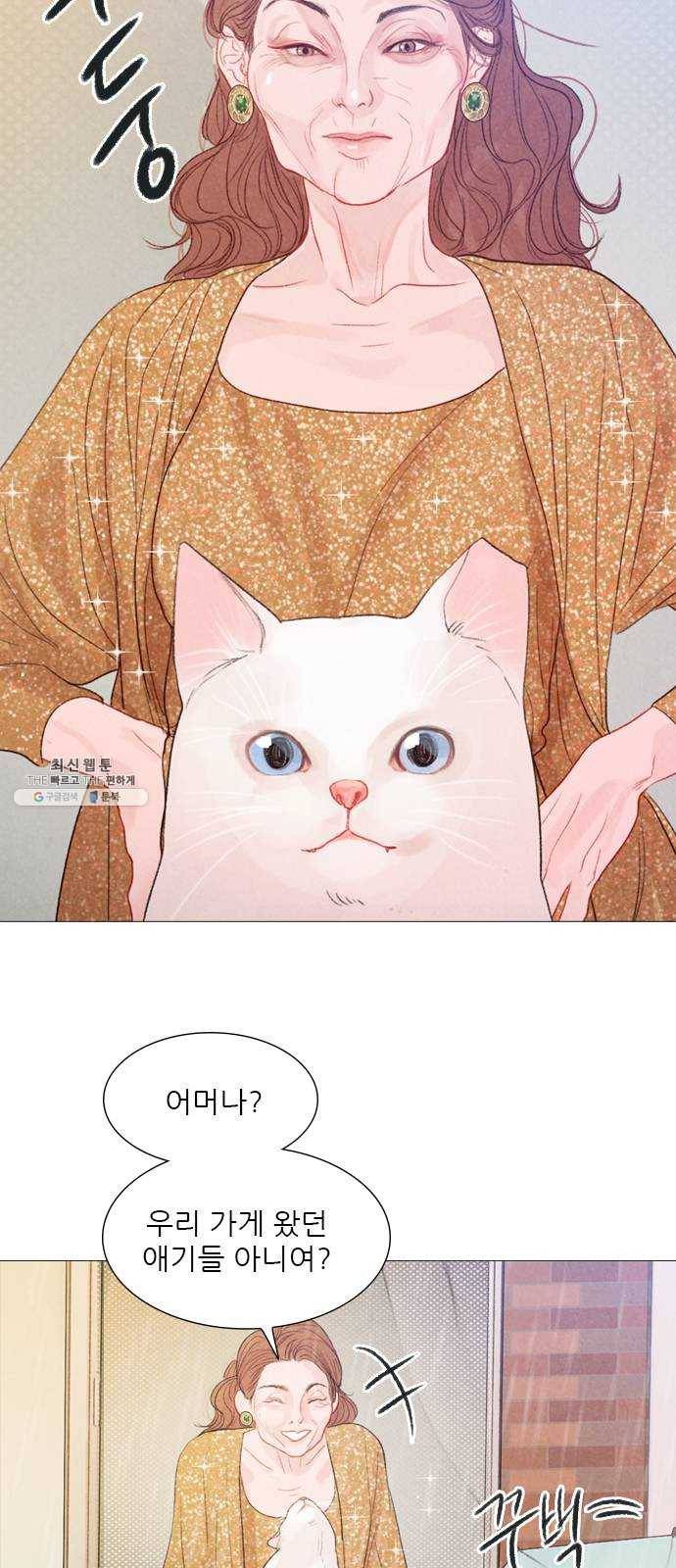 신비 56화 5