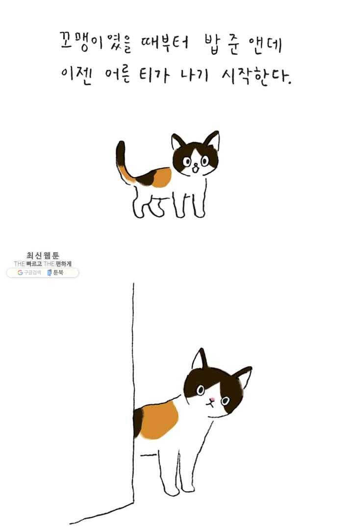 은동은동+옹동스 152화. 보름달 냥이 6