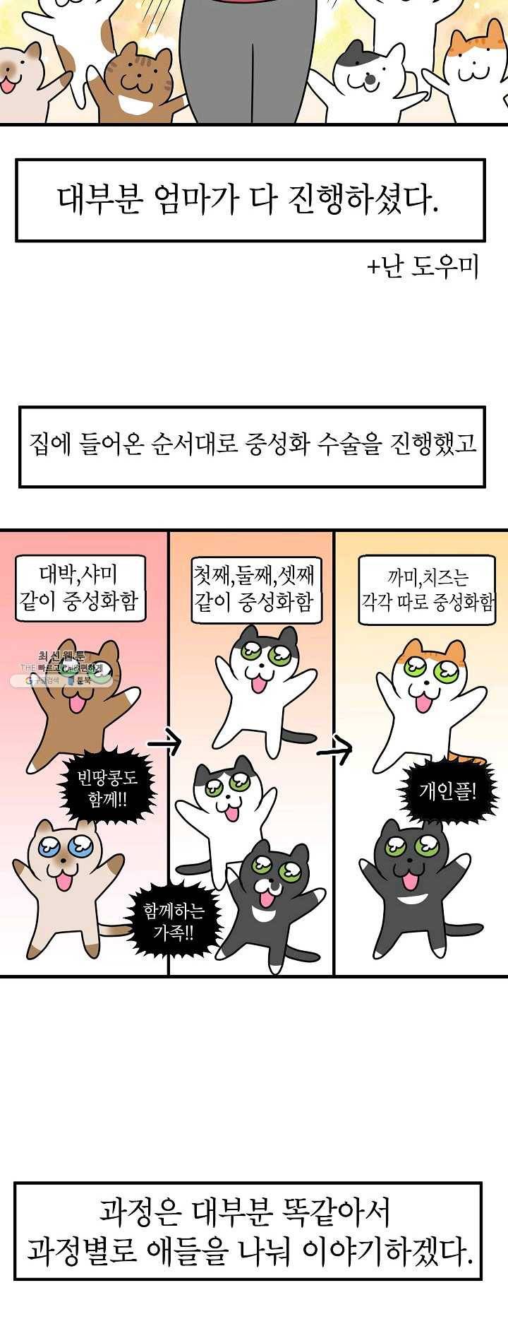 넘 많은 고양! 072화 2
