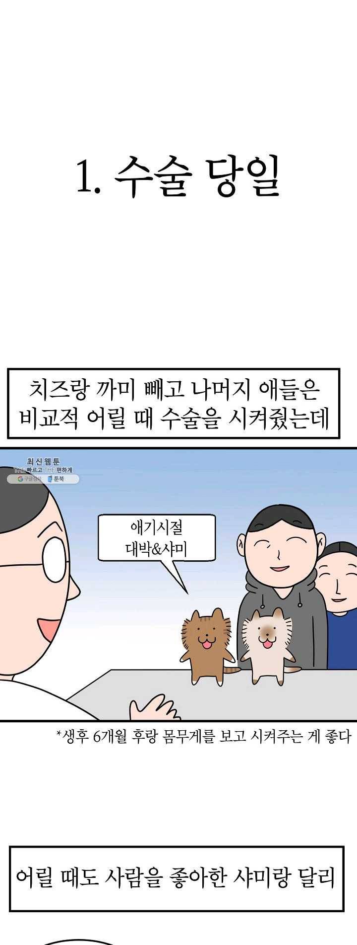 넘 많은 고양! 072화 3