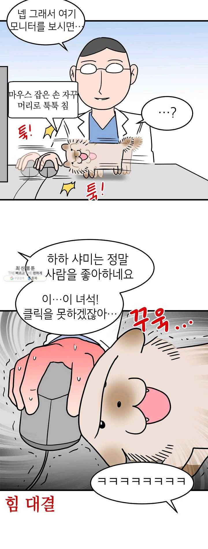넘 많은 고양! 072화 4