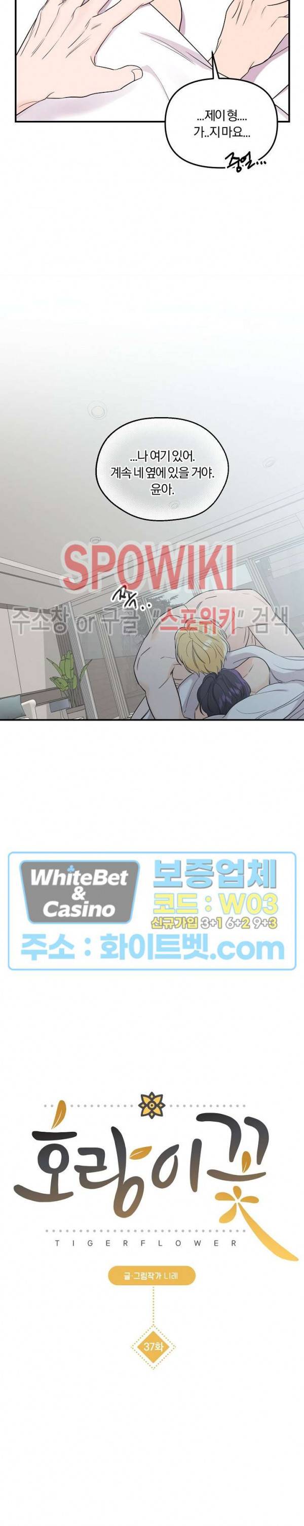 호랑이꽃 37화 12