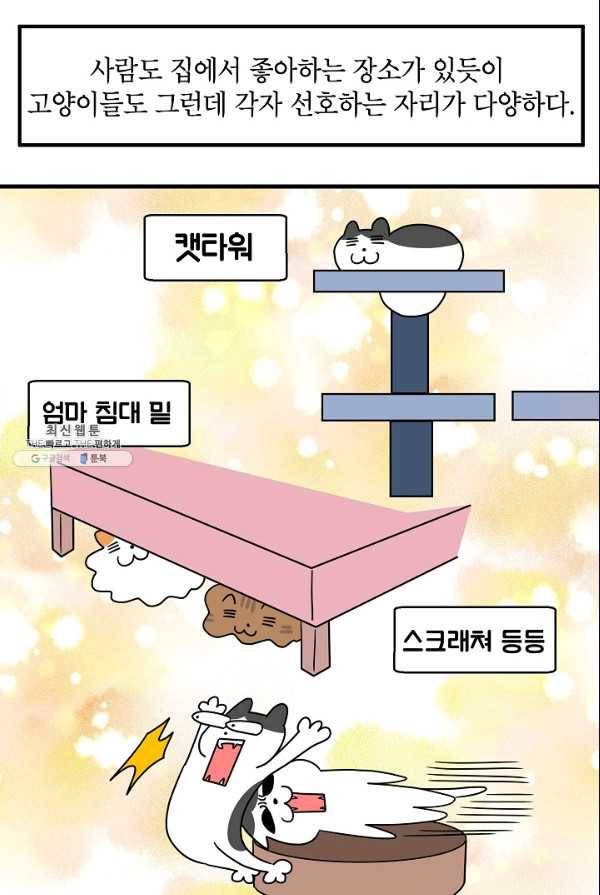 넘 많은 고양! 074화 8