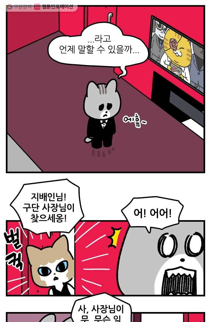 신세개냥 에필로그 5