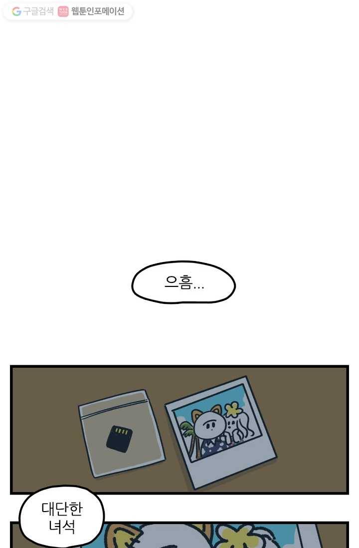 신세개냥 에필로그 12