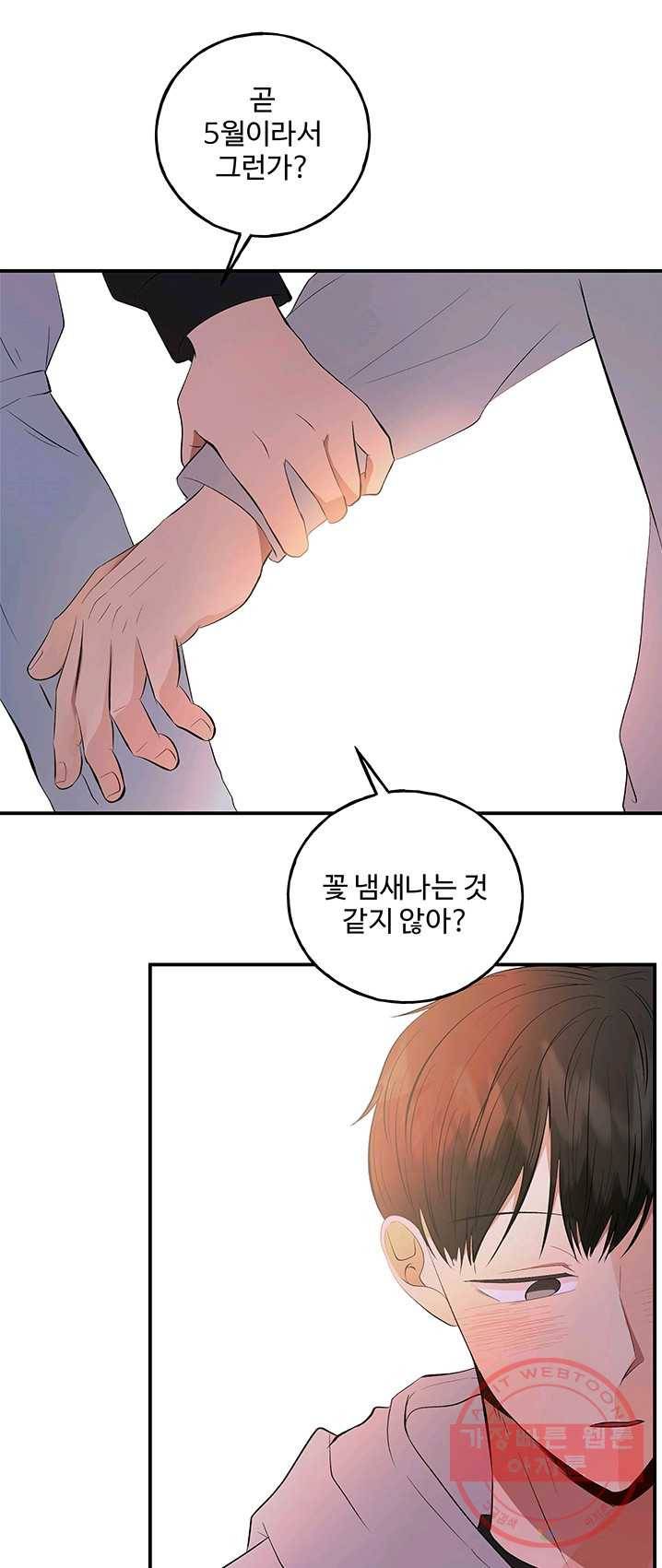 어른이 36화 26