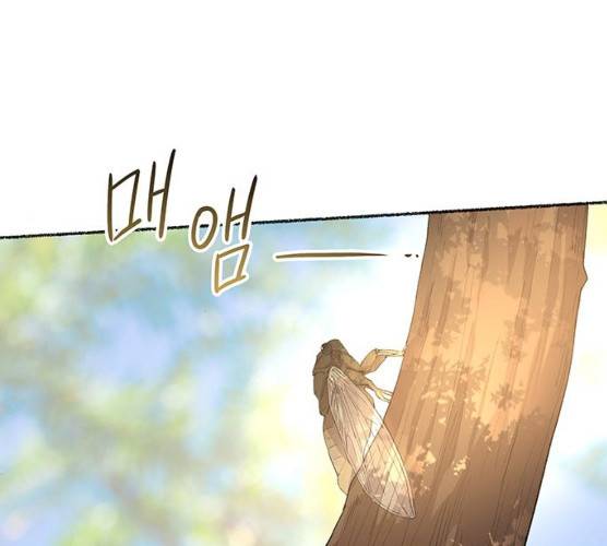 마른 가지에 바람처럼 43화 157