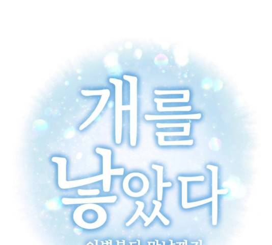 개를 낳았다 시즌2 63화 7