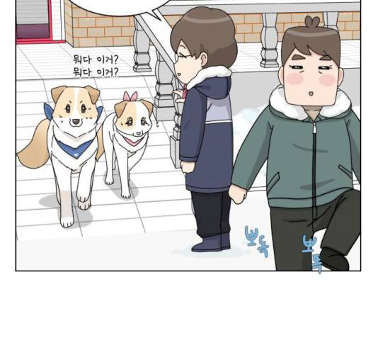 개를 낳았다 시즌2 63화 9