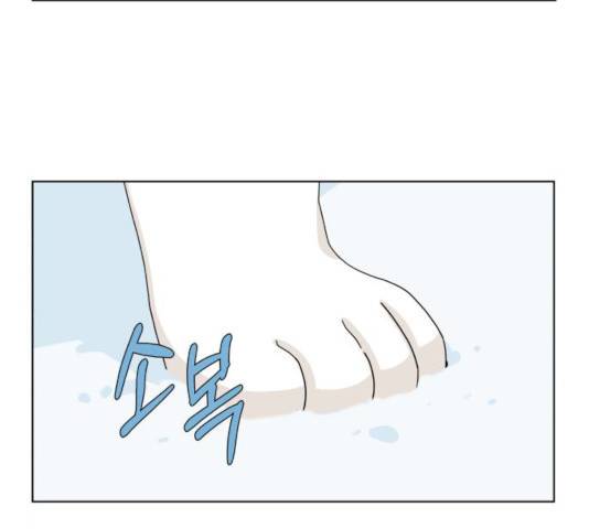 개를 낳았다 시즌2 63화 11