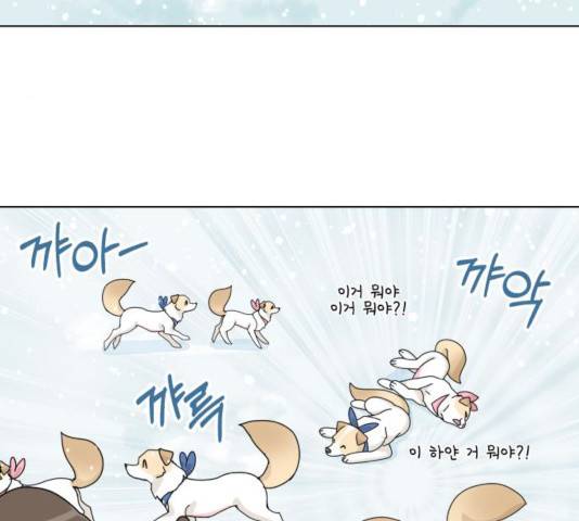 개를 낳았다 시즌2 63화 16