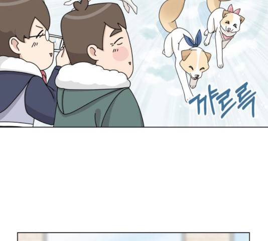 개를 낳았다 시즌2 63화 17