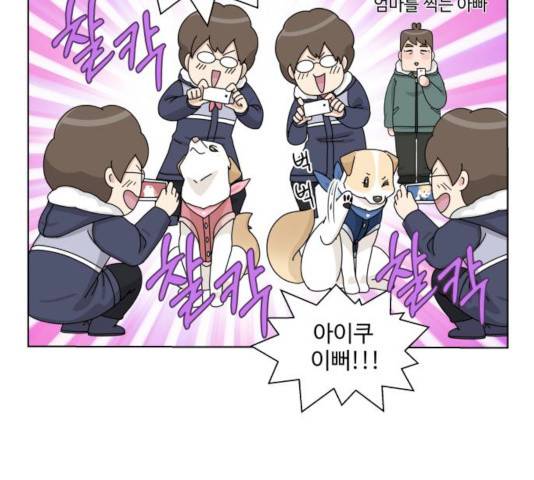 개를 낳았다 시즌2 63화 25